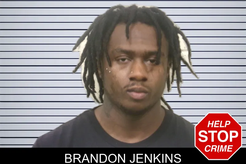 Brandon Jenkins mugshot
