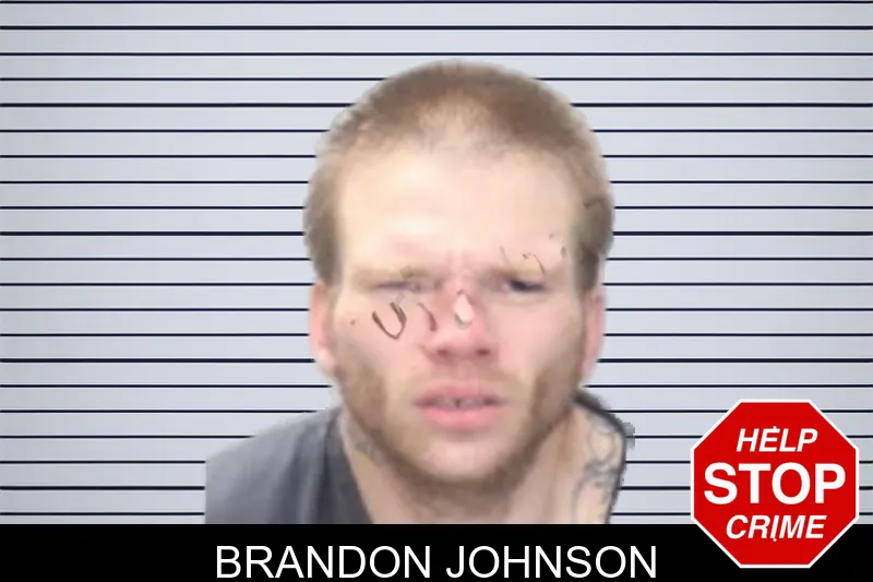 Brandon Johnson mugshot