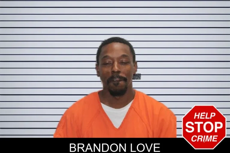 Brandon Love mugshot – Murray County , Georgia Brandon Love