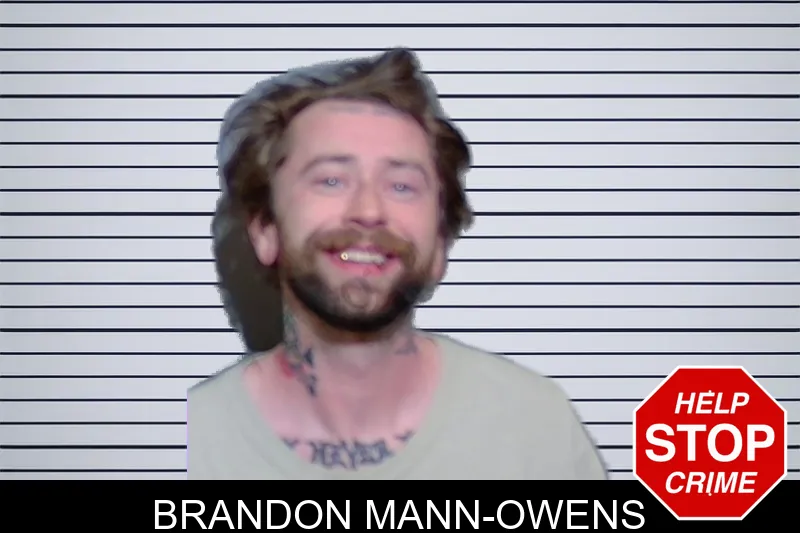 Brandon Mann-Owens mugshot