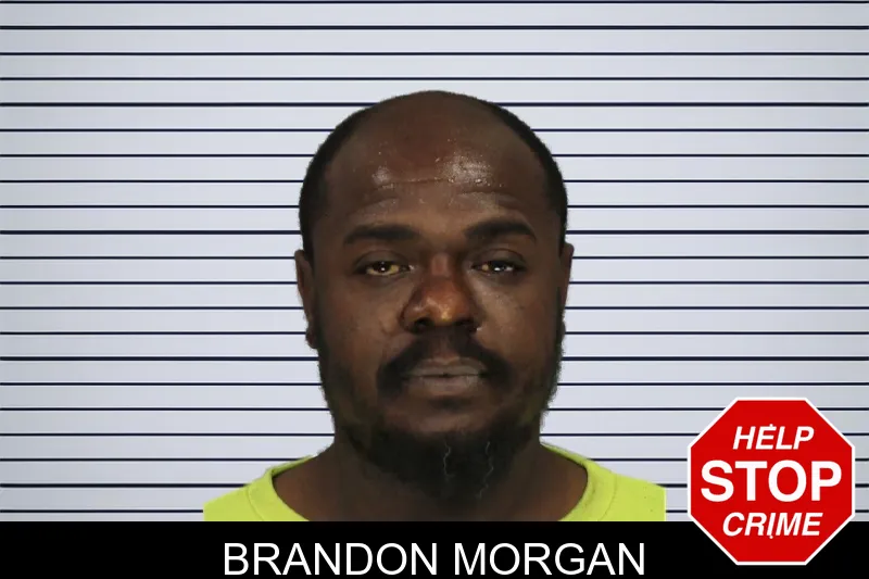Brandon Morgan mugshot – Cobb County , Georgia Brandon Morgan mugshot