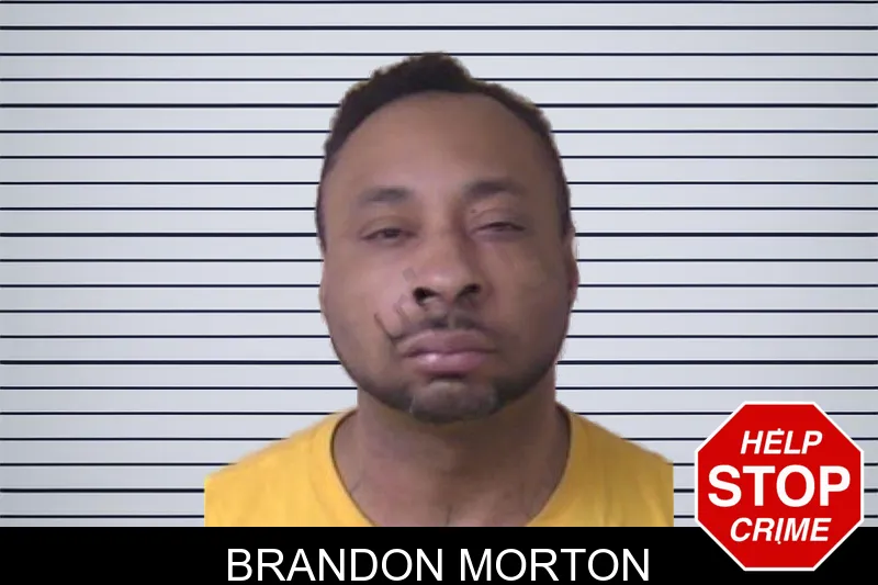 Brandon Morton mugshot