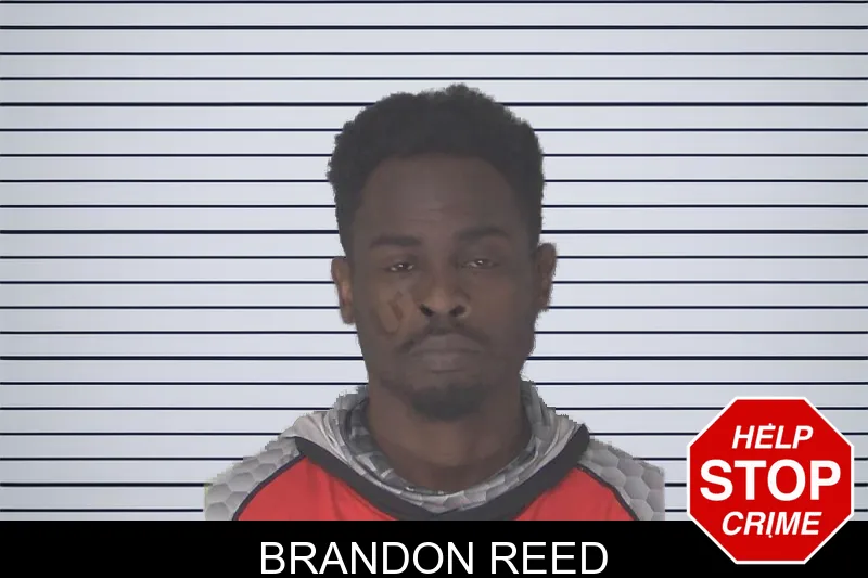 Brandon Reed mugshot