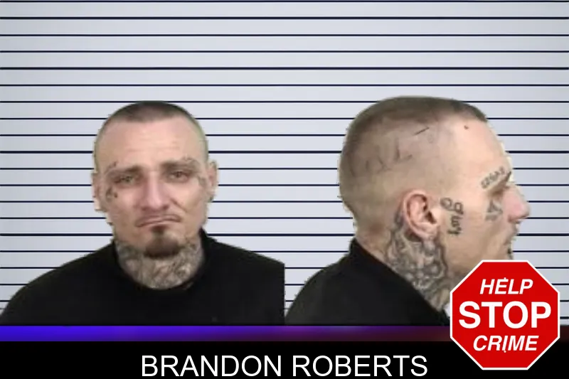 Brandon Roberts mugshot