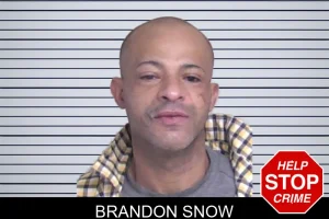 Brandon Snow mugshot