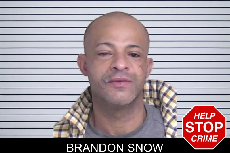 Brandon Snow mugshot