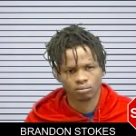 Brandon Stokes mugshot