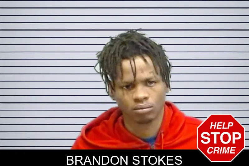 Brandon Stokes mugshot
