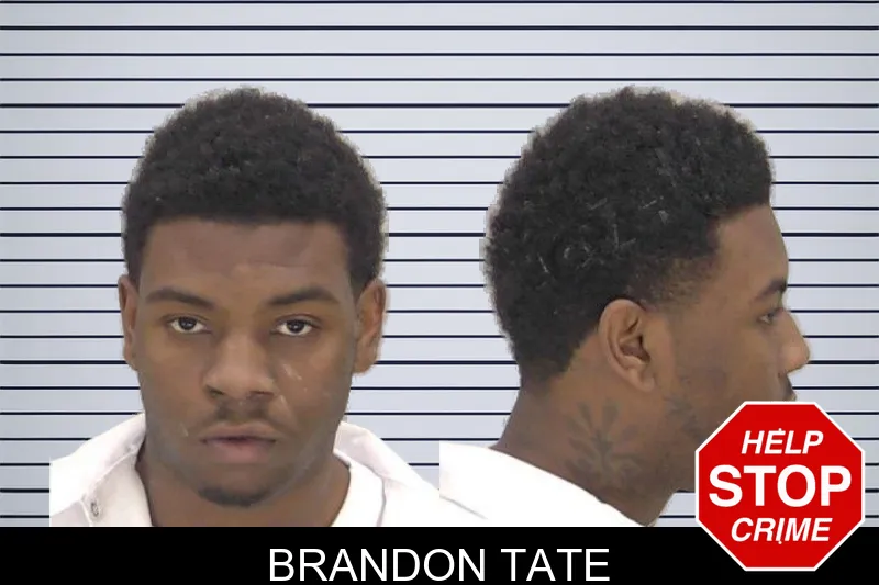 Brandon Tate mugshot
