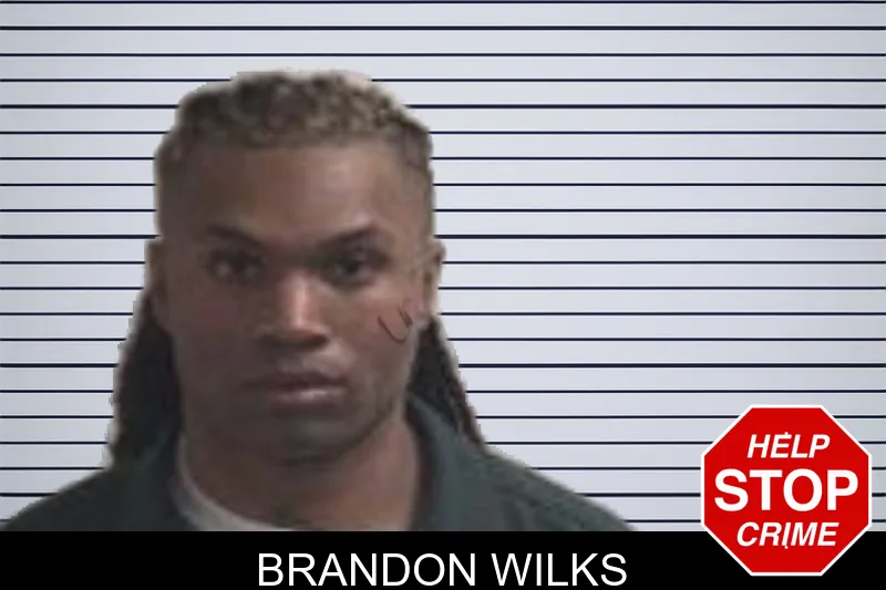 Brandon Wilks mugshot – Henry County , Georgia Brandon Wilks mugshot