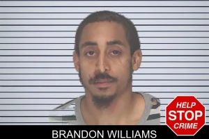Brandon Williams mugshot