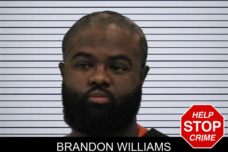 Brandon Williams mugshot