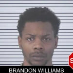 Brandon Williams mugshot