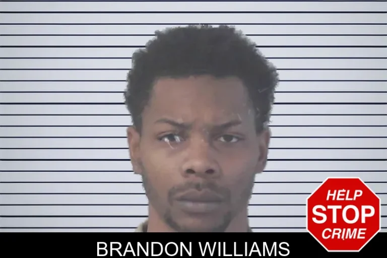 Brandon Williams mugshot – Newton County , Georgia Brandon Williams