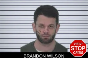 Brandon Wilson mugshot