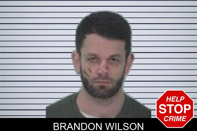 Brandon Wilson mugshot – Fayette County , Georgia Brandon Wilson mugshot