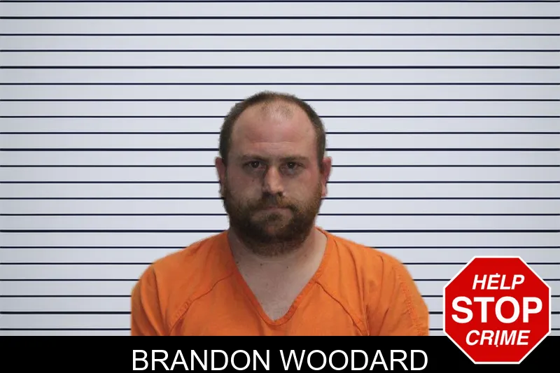 Brandon Woodard mugshot