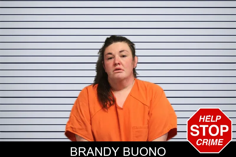 Brandy Buono mugshot – Lumpkin County , Georgia Brandy Buono mugshot