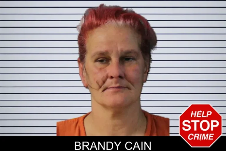 Brandy Cain mugshot – Lumpkin County , Georgia Brandy Cain