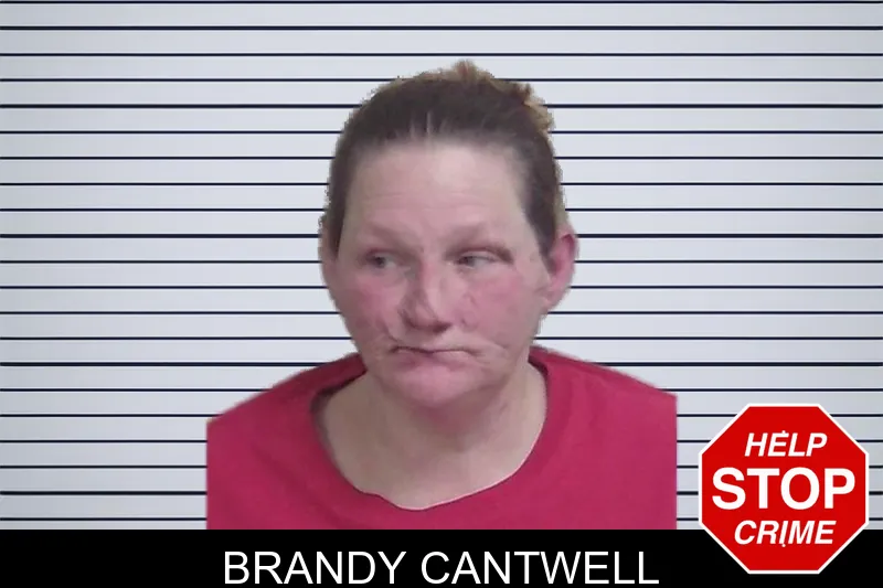 Brandy Cantwell mugshot