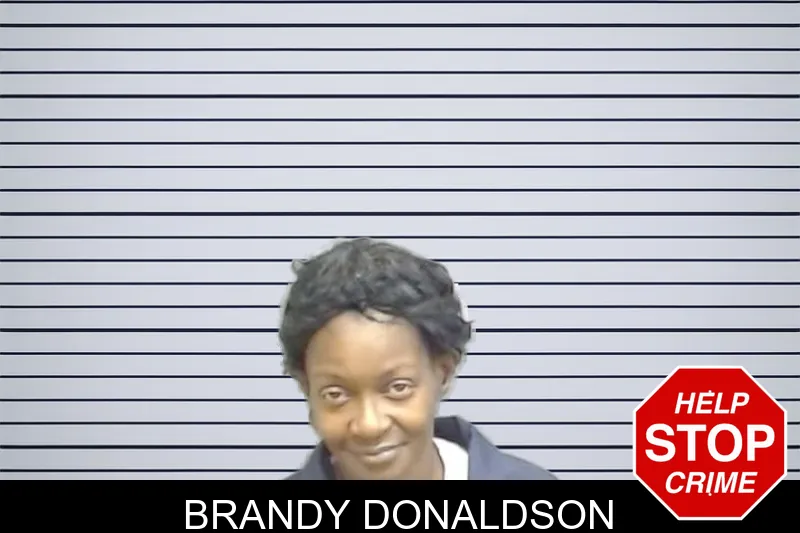 Brandy Donaldson mugshot – Fulton County , Georgia Brandy Donaldson mugshot