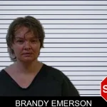 Brandy Emerson mugshot