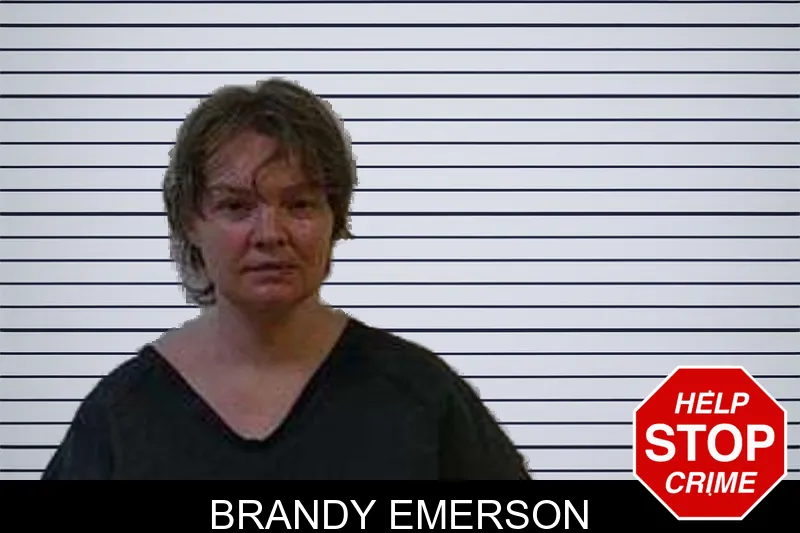 Brandy Emerson mugshot – Polk County , Georgia Brandy Emerson mugshot