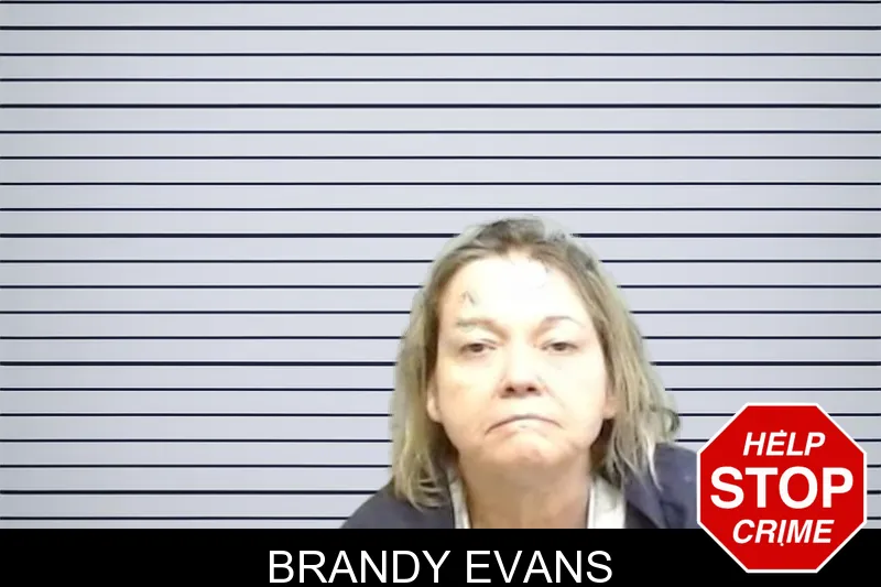 Brandy Evans mugshot – Fulton County , Georgia Brandy Evans mugshot