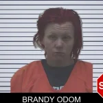 Brandy Odom mugshot