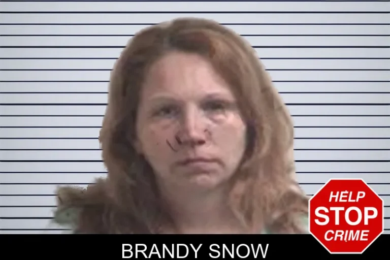 Brandy Snow