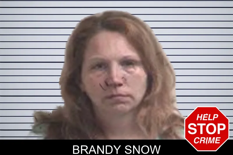 Brandy Snow mugshot