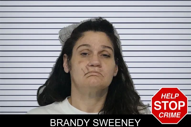 Brandy Sweeney mugshot – Bibb County , Georgia Brandy Sweeney mugshot