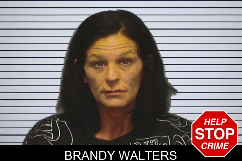 Brandy Walters mugshot