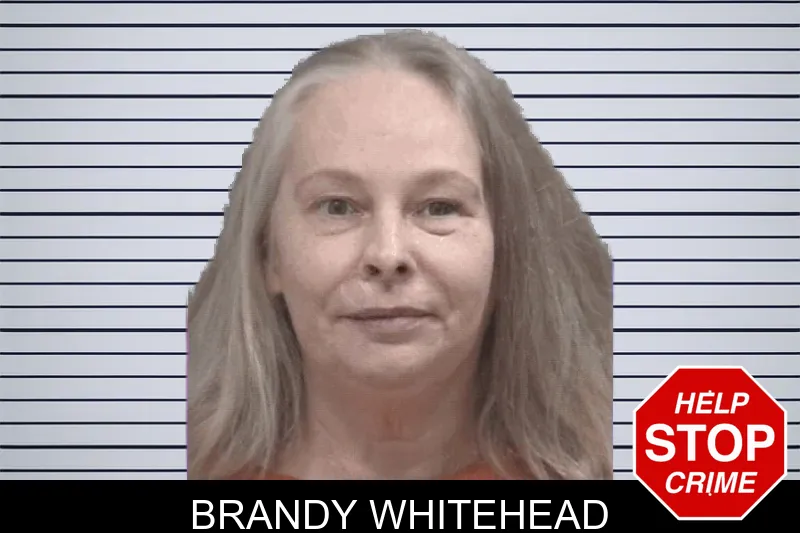 Brandy Whitehead mugshot