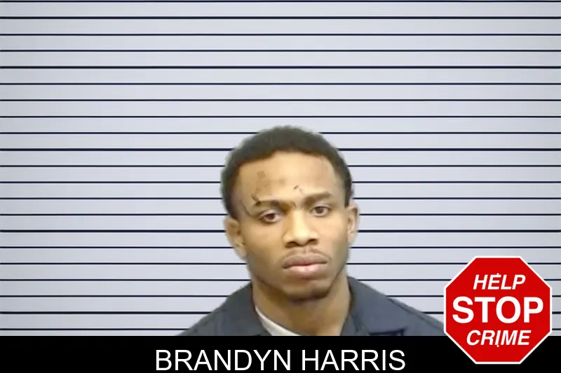 Brandyn Harris mugshot
