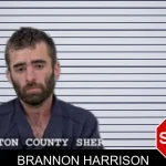 Brannon Harrison mugshot