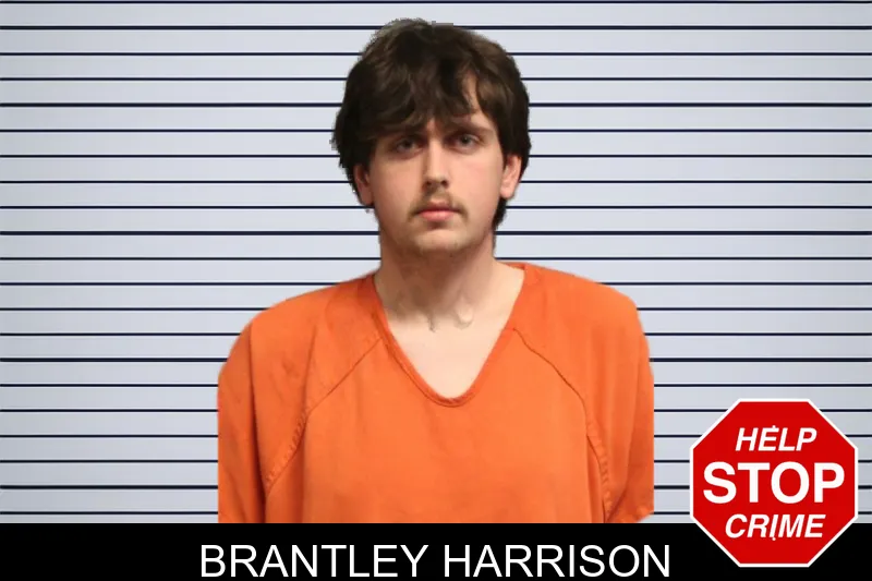 Brantley Harrison mugshot