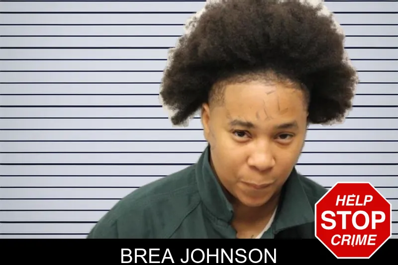 Brea Johnson mugshot