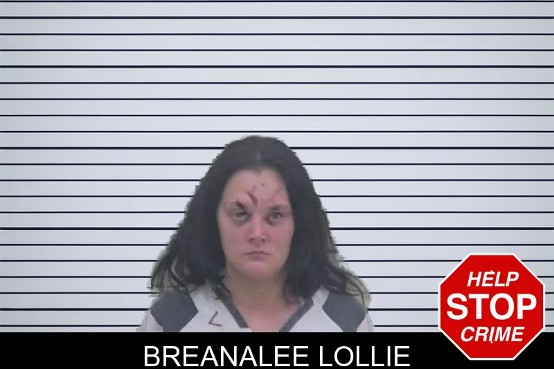 Breanalee Lollie mugshot