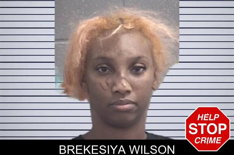 Brekesiya Wilson mugshot