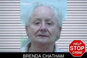 Brenda Chatham mugshot