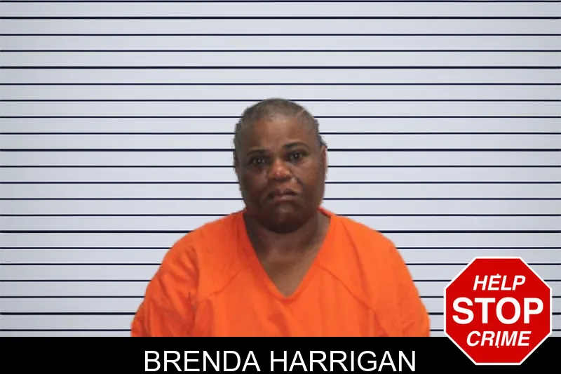 Brenda Harrigan mugshot