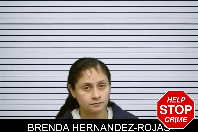 Brenda Hernandez-Rojas mugshot