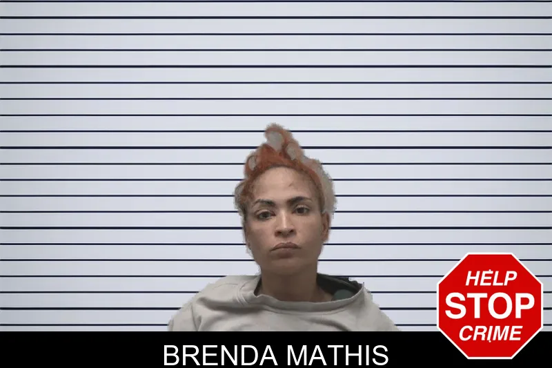 Brenda Mathis mugshot