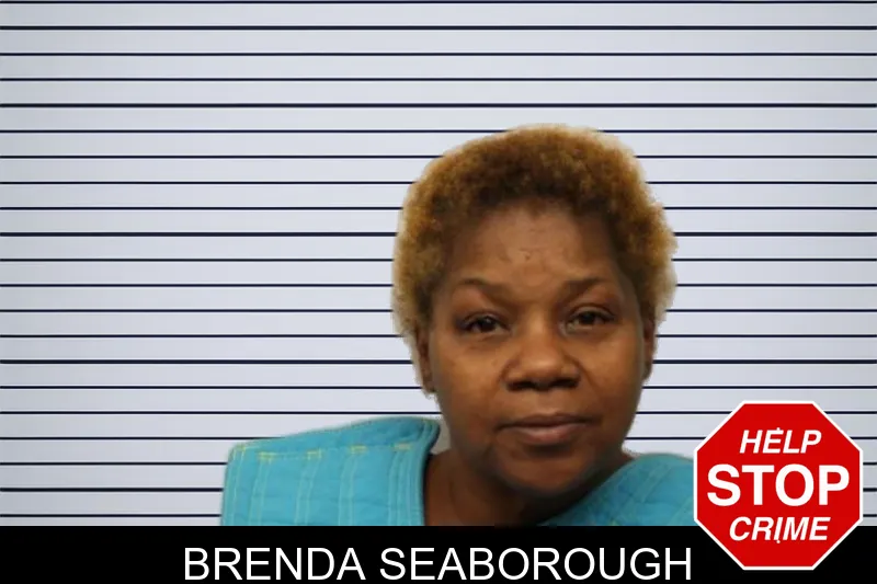 Brenda Seaborough mugshot