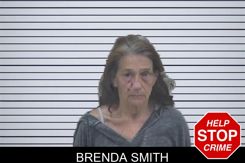 Brenda Smith mugshot