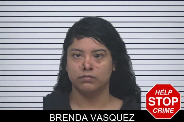 Brenda Vasquez mugshot β Gwinnett County , Georgia Brenda Vasquez