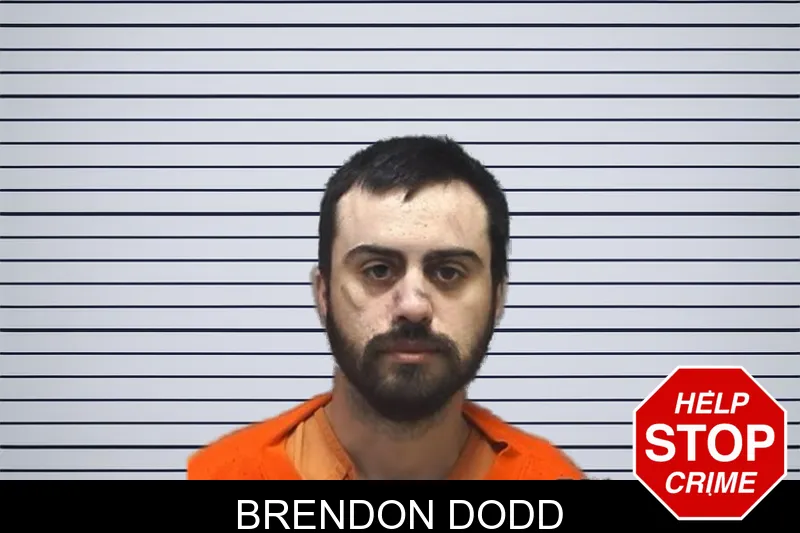 Brendon Dodd mugshot