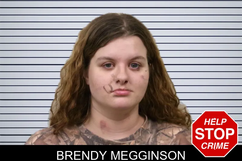 Brendy Megginson mugshot – Bulloch County , Georgia Brendy Megginson mugshot