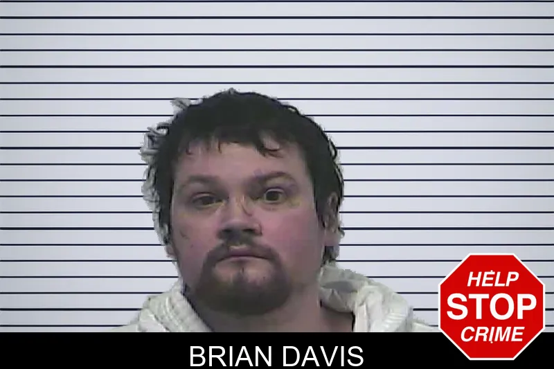 Brian Davis mugshot